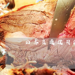 公务员通过司法考试有什么用 公务员通过司法考试有什么用