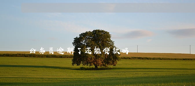 公务员逾期了还能贷款吗 公务员逾期了还能贷款吗