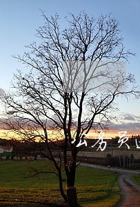 公务员逾期能申请信用卡吗 公务员逾期能申请信用卡吗