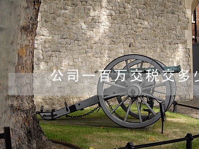 公司一百万交税交多少 公司一百万交税交多少