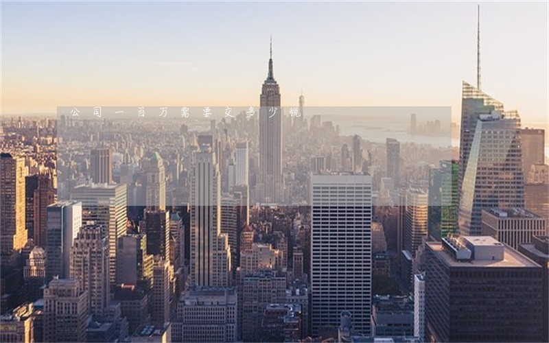 公司一百万需要交多少税 公司一百万需要交多少税