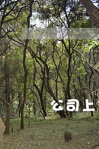 公司上市开具无重大违法违规证明 公司上市开具无重大违法违规证明