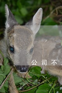 公司不上保险违法么 公司不上保险违法么