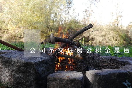 公司不交住房公积金是违法的吗 公司不交住房公积金是违法的吗