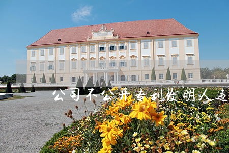公司不公开专利发明人违法吗 公司不公开专利发明人违法吗