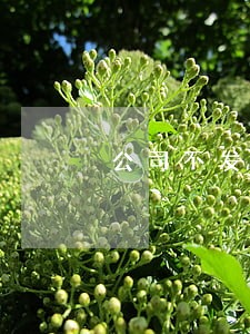 公司不发工资信用卡逾期 公司不发工资信用卡逾期