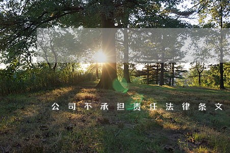 公司不承担责任法律条文