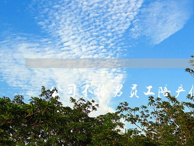 公司不给男员工陪产假违法吗 公司不给男员工陪产假违法吗