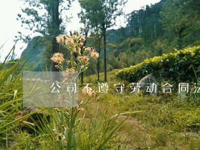 公司不遵守劳动合同法 公司不遵守劳动合同法