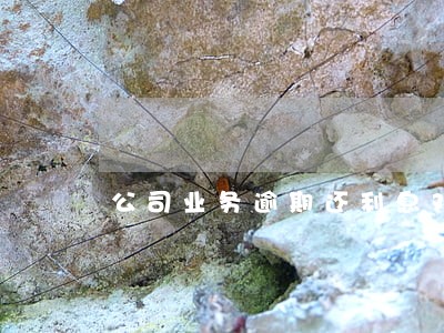 公司业务逾期还利息对信用的影响 公司业务逾期还利息对信用的影响