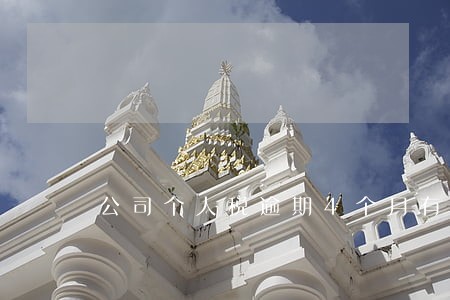 公司个人税逾期4个月有处罚吗 公司个人税逾期4个月有处罚吗