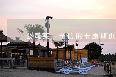 公司买一金信用卡逾期也可以买吗 公司买一金信用卡逾期也可以买吗