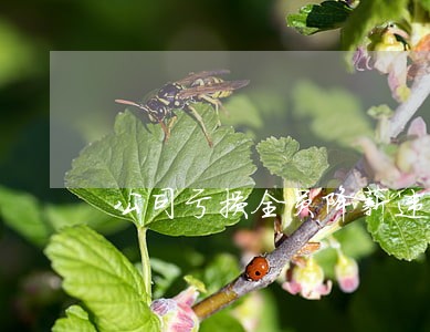 公司亏损全员降薪违法吗 公司亏损全员降薪违法吗