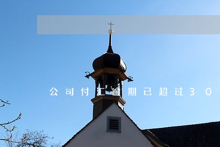 公司付汇逾期已超过30天 公司付汇逾期已超过30天