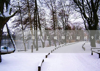 公司付汇逾期已超过90天 公司付汇逾期已超过90天