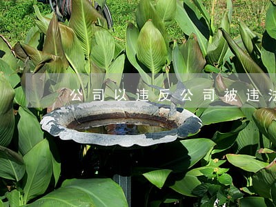 公司以违反公司被违法辞退签字
