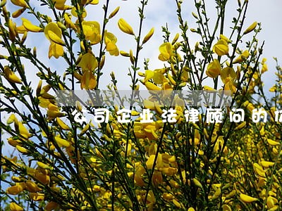公司企业法律顾问的价格 公司企业法律顾问的价格