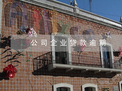 公司企业贷款逾期