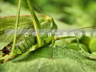 公司企业需要法律顾问的五大理由 公司企业需要法律顾问的五大理由