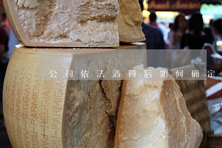 公司依法清算后如何确定诉讼主体 公司依法清算后如何确定诉讼主体