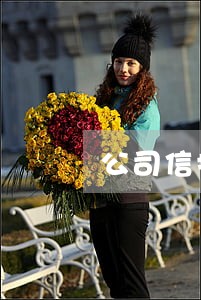 公司信托贷款逾期 公司信托贷款逾期