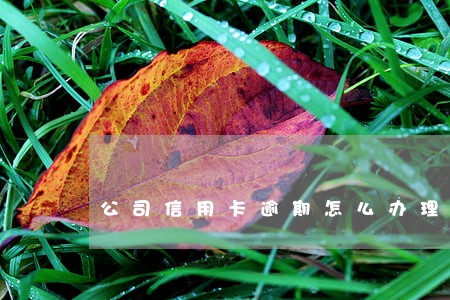公司信用卡逾期怎么办理 公司信用卡逾期怎么办理