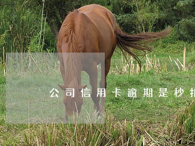 公司信用卡逾期是秒扣吗 公司信用卡逾期是秒扣吗