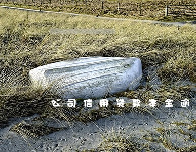 公司信用贷款本金逾期1天 公司信用贷款本金逾期1天