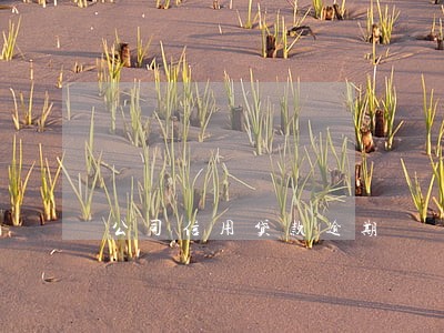 公司信用贷款逾期 公司信用贷款逾期