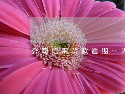 公司信用贷款逾期一天 公司信用贷款逾期一天