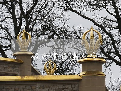 公司借贷违法吗 公司借贷违法吗