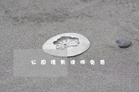 公司债务律师免费 公司债务律师免费