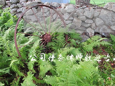 公司债务律师欢迎咨询 公司债务律师欢迎咨询