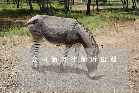 公司债务律师诉讼费 公司债务律师诉讼费