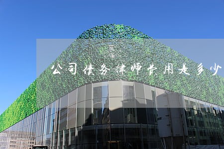 公司债务律师费用是多少 公司债务律师费用是多少