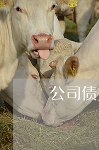 公司债务法律咨询网 公司债务法律咨询网