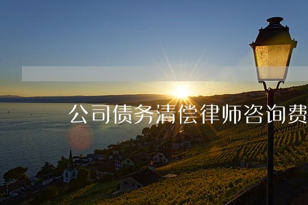 公司债务清偿律师咨询费