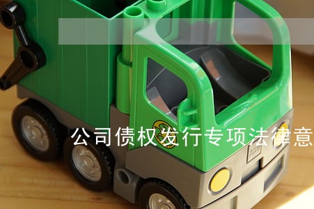 公司债权发行专项法律意见书 公司债权发行专项法律意见书