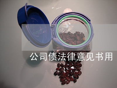 公司债法律意见书用