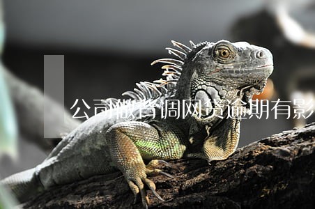 公司做背调网贷逾期有影响吗 公司做背调网贷逾期有影响吗