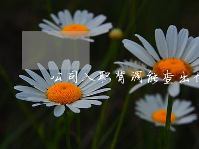 公司入职背调能查出信用卡逾期吗 公司入职背调能查出信用卡逾期吗