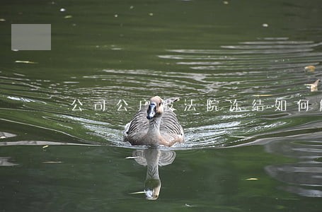 公司公户被法院冻结如何解冻 公司公户被法院冻结如何解冻