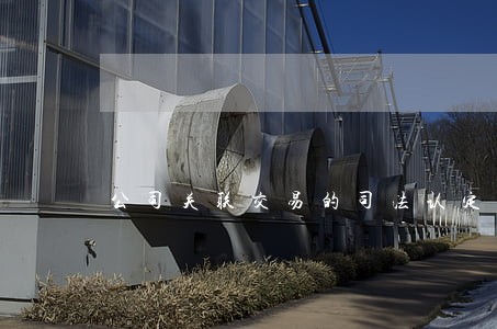 公司关联交易的司法认定 公司关联交易的司法认定