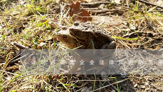 公司内征集企业法律风险防范用语 公司内征集企业法律风险防范用语