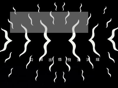 公司出借资金法规 公司出借资金法规
