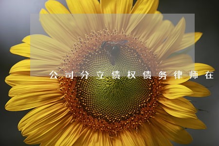 公司分立债权债务律师在线解答 公司分立债权债务律师在线解答