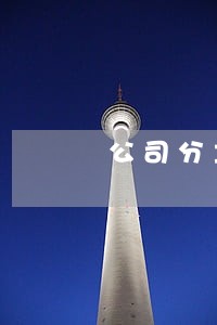 公司分立债权债务律师服务 公司分立债权债务律师服务