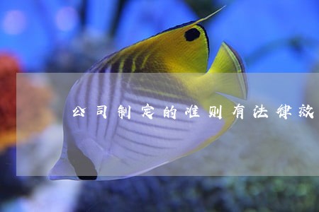 公司制定的准则有法律效力吗