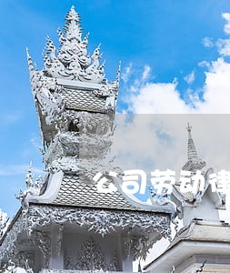 公司劳动律师委托 公司劳动律师委托