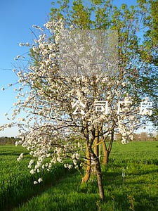 公司厂房拆迁律师费用 公司厂房拆迁律师费用